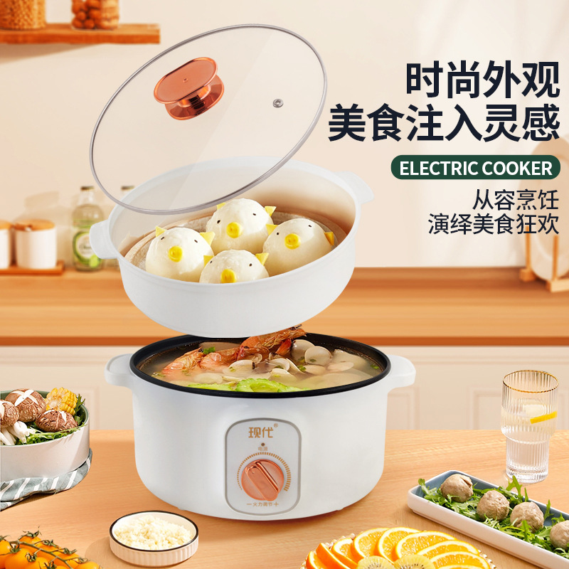 多機能ミニ電気鍋ポータブル学生寮電気調理鍋麺スープ揚げ物家庭 - Home Cooking Appliances のレビューと価格
