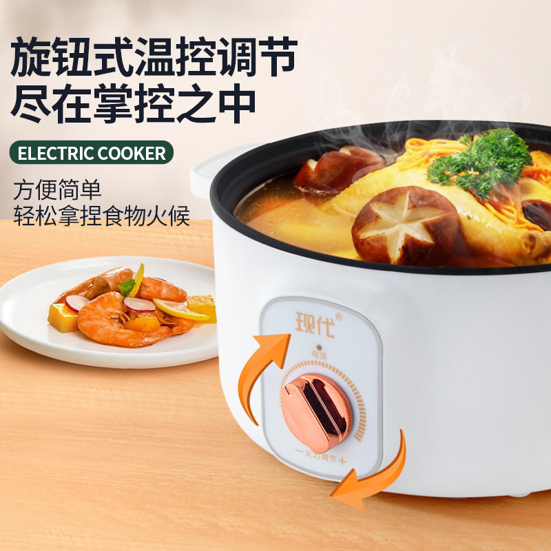 多機能ミニ電気鍋ポータブル学生寮電気調理鍋麺スープ揚げ物家庭 - Home Cooking Appliances のレビューと価格
